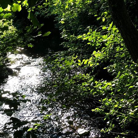 Otter Lodge ออคเทอราร์เดอร์ ภายนอก รูปภาพ